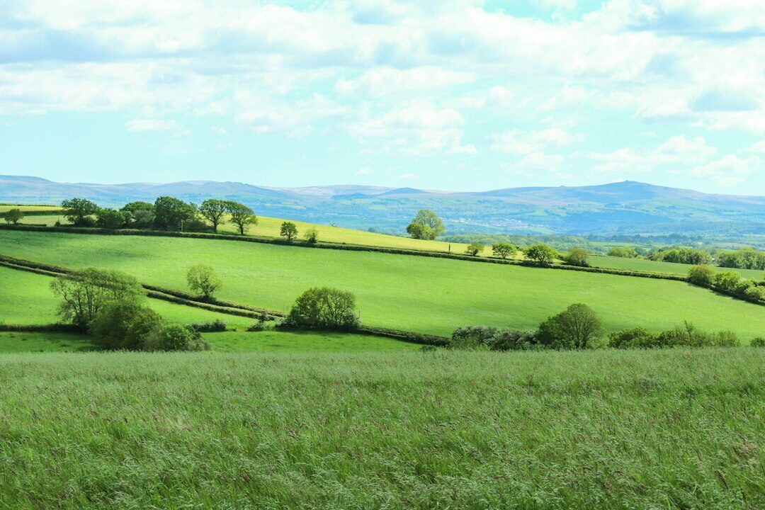 Rural landscape in Jylland Denmark with rolling green fields